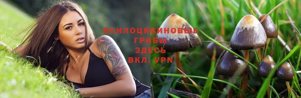 ALPHA-PVP Абинск