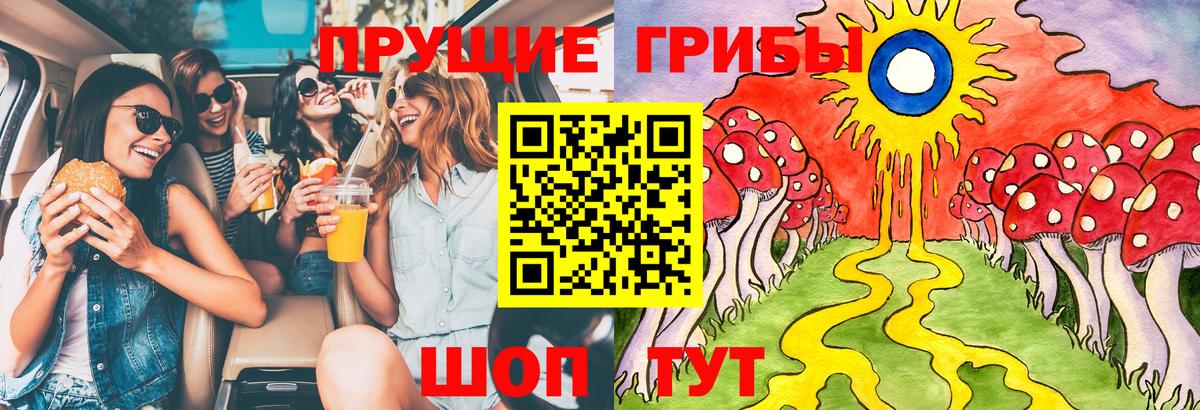 Псилоцибиновые грибы мицелий Гагарин