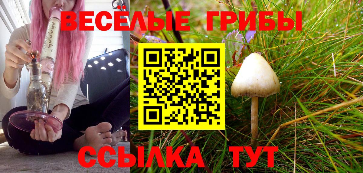 Галлюциногенные грибы Psilocybine cubensis  Вход с VPN  Псилоцибиновые грибы Magic Shrooms  Гагарин 